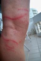 post-49704-036531100 1279259955_thumb.jp