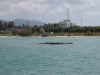 post-56008-059377700 1278899570_thumb.jp