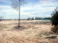 post-56008-065011300 1278898404_thumb.jp