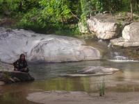 post-5614-032943500 1278060219_thumb.jpg