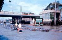 post-69759-000002600 1280355093_thumb.jp