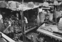 post-69759-000500800 1280527833_thumb.jp