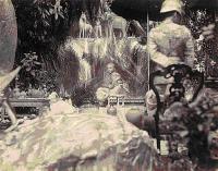 post-69759-010077700 1280414675_thumb.jp