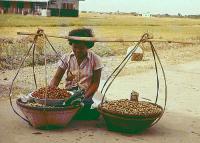 post-69759-022613300 1280355290_thumb.jp