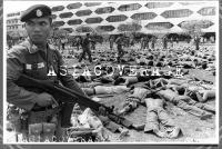 post-69759-024570100 1280013790_thumb.jp