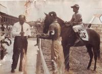 post-69759-027219000 1280016238_thumb.jp