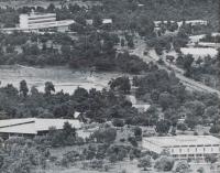 post-69759-029645000 1280469379_thumb.jp