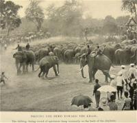 post-69759-032299900 1280012309_thumb.jp