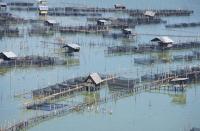 post-69759-038543800 1280013316_thumb.jp