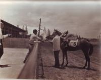 post-69759-039251300 1280016248_thumb.jp