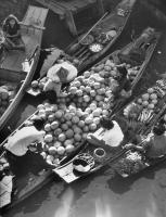 post-69759-044830500 1280445482_thumb.jp