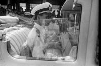 post-69759-050902600 1280450210_thumb.jp