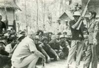 post-69759-053226500 1280457524_thumb.jp