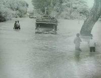 post-69759-056616500 1280462945_thumb.jp