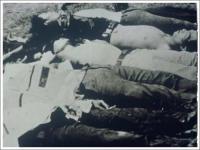 post-69759-059032100 1280013639_thumb.jp