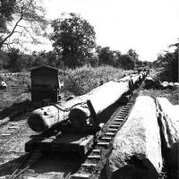 post-69759-060323600 1280615584_thumb.jp