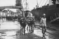 post-69759-060940800 1280469273_thumb.jp