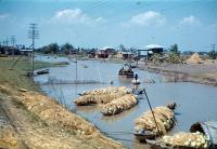 post-69759-063911100 1280469439_thumb.jp