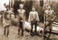 post-69759-065467100 1280463484_thumb.jp