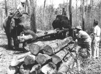 post-69759-070311600 1280290146_thumb.jp