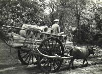 post-69759-071630500 1280615391_thumb.jp