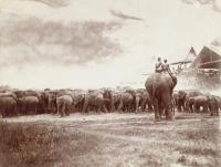 post-69759-076437200 1279954337_thumb.jp