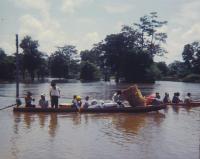 post-69759-077533900 1280457549_thumb.jp