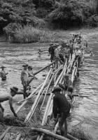 post-69759-078894700 1280450231_thumb.jp