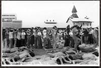 post-69759-080927800 1280013782_thumb.jp