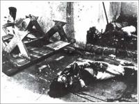 post-69759-082899500 1280013632_thumb.jp