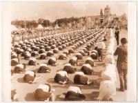 post-69759-090159300 1280615518_thumb.jp