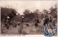 post-69759-091154600 1280457641_thumb.jp