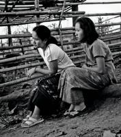 post-69759-097982300 1280013251_thumb.jp