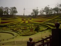 post-72121-022635900 1280397609_thumb.jp