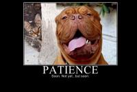 post-15958-0-65109900-1309747097_thumb.j