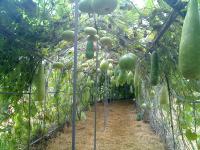 post-37242-0-25554900-1311957716_thumb.j