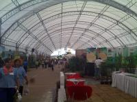 post-37242-0-52741800-1311957840_thumb.j