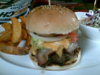 post-53787-0-01751300-1310634307_thumb.j