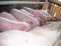 post-109249-0-04181700-1341667371_thumb.