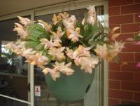 post-140056-0-37044500-1341726835_thumb.