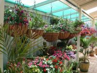 post-140056-0-69098600-1341726772_thumb.