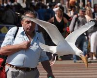 post-146250-0-07256400-1342775342_thumb.