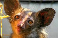 post-146250-0-47372100-1342775426_thumb.