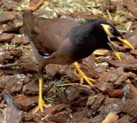 post-146250-0-68464500-1342624080_thumb.