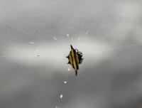 post-16612-0-03756200-1341829022_thumb.j