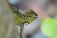 post-16612-0-51824600-1341926144_thumb.j