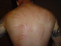 post-18180-0-66600600-1342522670_thumb.j