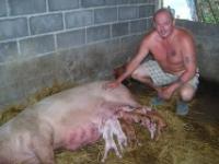 post-32351-0-02508000-1342469297_thumb.j