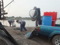 post-104736-0-28457200-1372652796_thumb.