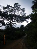 post-111234-0-16162900-1372945895_thumb.